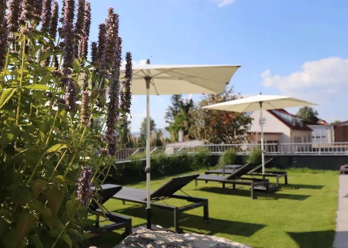 Landgasthof & Hotel Zur Rose Berg