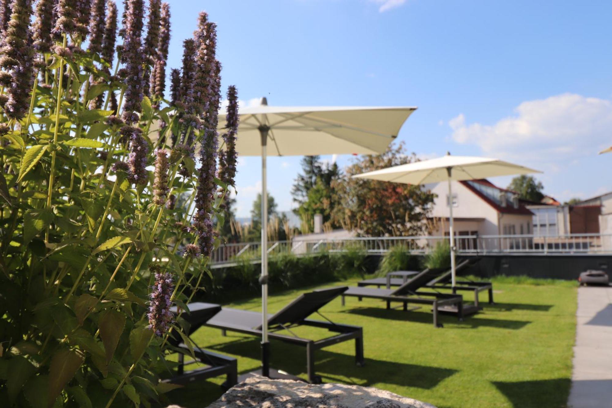 Landgasthof & Zur Rose Berg Hotel Ehingen (Alb-Donau)